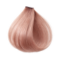 ETB Hair ColorVerse Permanent Hair Dye 10.21