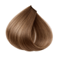 ETB Hair ColorVerse Ammóniamentes & Vegán Professzionális Tartós Hajfesték 8.19 Világos Szőke Hamvas Sandre