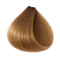 ETB Hair ColorVerse Permanent Hair Dye 9.00