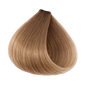 ETB Hair ColorVerse Tartós Professzionális Hajfesték, Vegán, PPD-mentes, 9.9