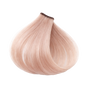 ETB Hair ColorVerse Ammóniamentes & Vegán Professzionális Tartós Hajfesték BB2 Speciál Szőke Iris