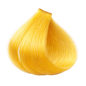 ETB Hair ColorVerse Ammóniamentes & Vegán Professzionális Tartós Hajfesték Booster Sárga